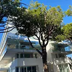 Palm Beach Appartment 80 Mt Dal Mare E Comodo Per Venezia
