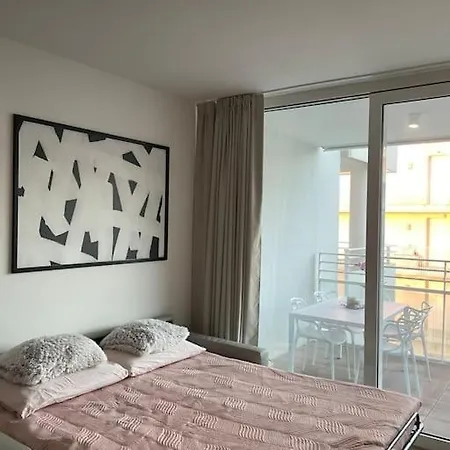 Apartment Palm 80 Mt Dal Mare E Comodo Per Venezia *