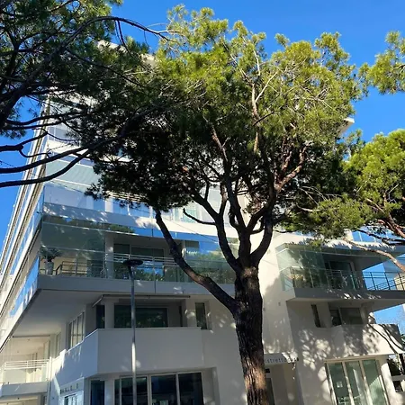 Appartamento Palm 80 Mt Dal Mare E Comodo Per Venezia